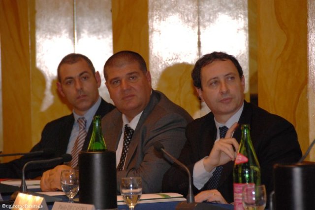 Roma - Convegno Incendi boschivi